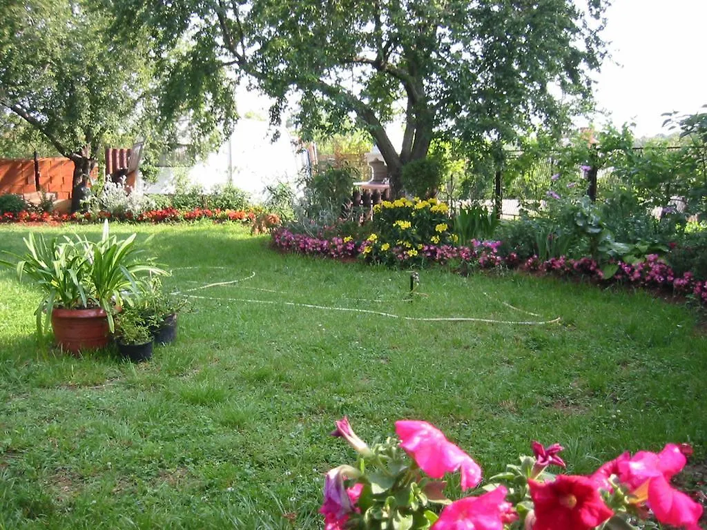 Apartments Vintijan Pula Croatia